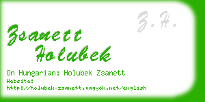 zsanett holubek business card